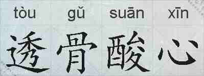 透骨酸心的拼音