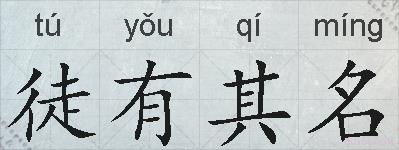 徒有其名的拼音