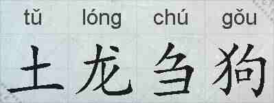 土龙刍狗的拼音