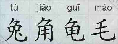 兔角龟毛的拼音
