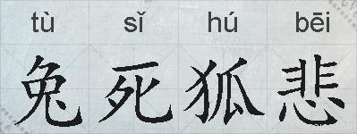 兔死狐悲的拼音