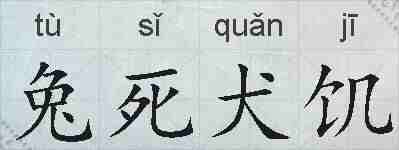 兔死犬饥的拼音