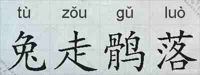 兔走鹘落的拼音