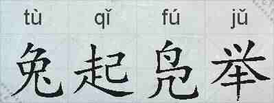 兔起凫举的拼音
