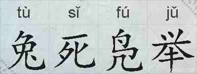 兔死凫举的拼音