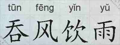 吞风饮雨的拼音