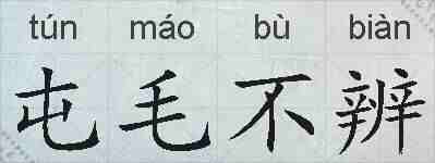 屯毛不辨的拼音