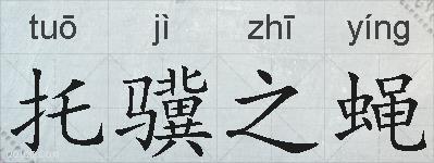 托骥之蝇的拼音