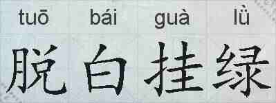 脱白挂绿的拼音