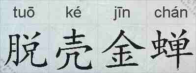 脱壳金蝉的拼音