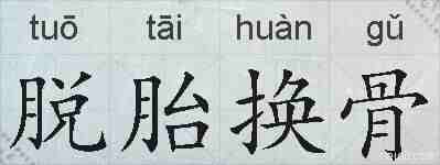 脱胎换骨的拼音
