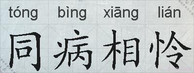 同病相怜的拼音