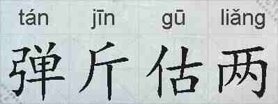 弹斤估两的拼音