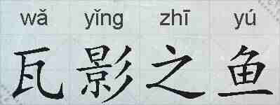 瓦影之鱼的拼音