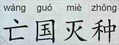 亡国灭种的拼音