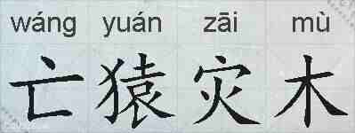 亡猿灾木的拼音