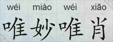 唯妙唯肖的拼音