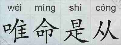 唯命是从的拼音