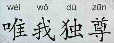 唯我独尊的拼音