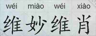 维妙维肖的拼音