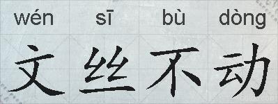 文丝不动的拼音
