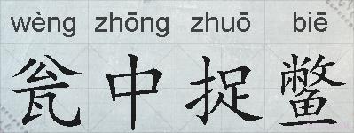 瓮中捉鳖的拼音