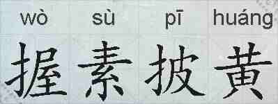 握素披黄的拼音