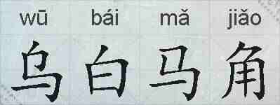 乌白马角的拼音