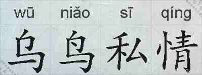 乌鸟私情的拼音