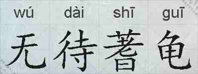 无待蓍龟的拼音