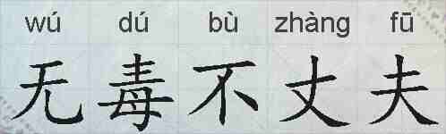 无毒不丈夫的拼音