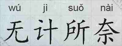 无计所奈的拼音