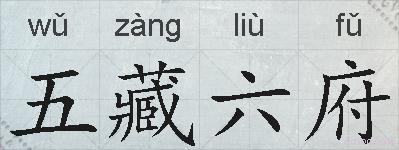 五藏六府的拼音