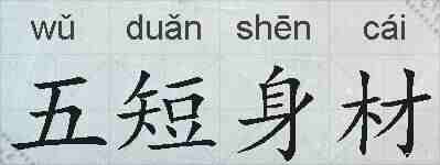 五短身材的拼音