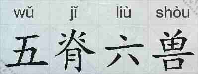 五脊六兽的拼音