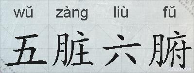 五脏六腑的拼音