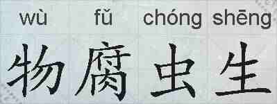 物腐虫生的拼音