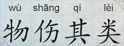 物伤其类的拼音