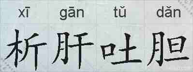 析肝吐胆的拼音