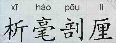 析毫剖厘的拼音