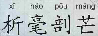 析毫剖芒的拼音