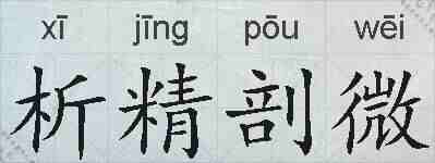 析精剖微的拼音