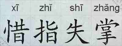 惜指失掌的拼音