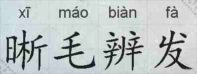 晰毛辨发的拼音