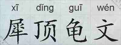 犀顶龟文的拼音
