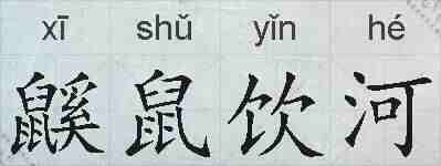 鼷鼠饮河的拼音