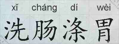 洗肠涤胃的拼音