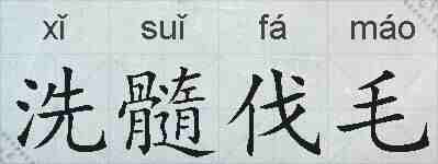 洗髓伐毛的拼音