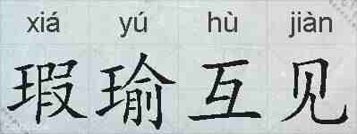 瑕瑜互见的拼音
