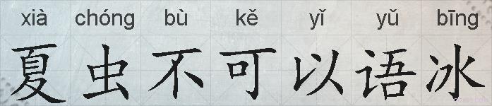 夏虫不可以语冰的拼音